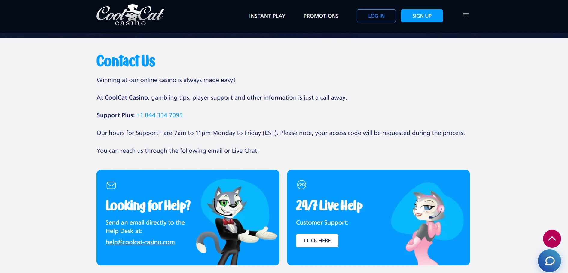 Cool Cat Casino Screenshot