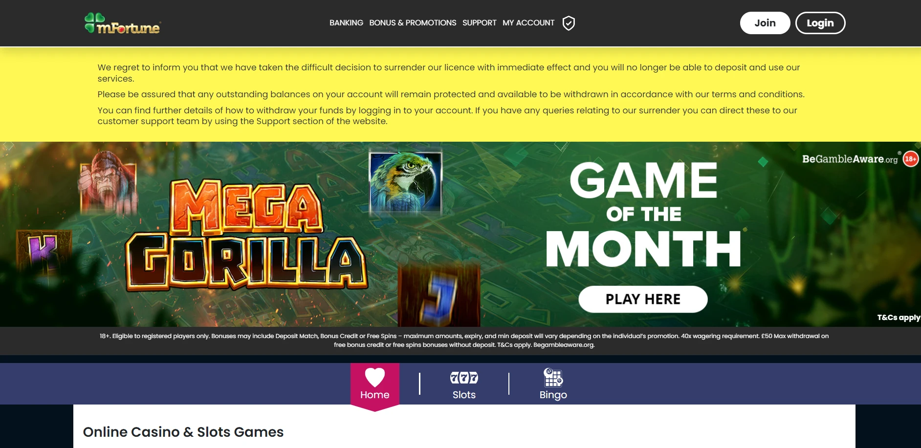mFortune Casino Screenshot