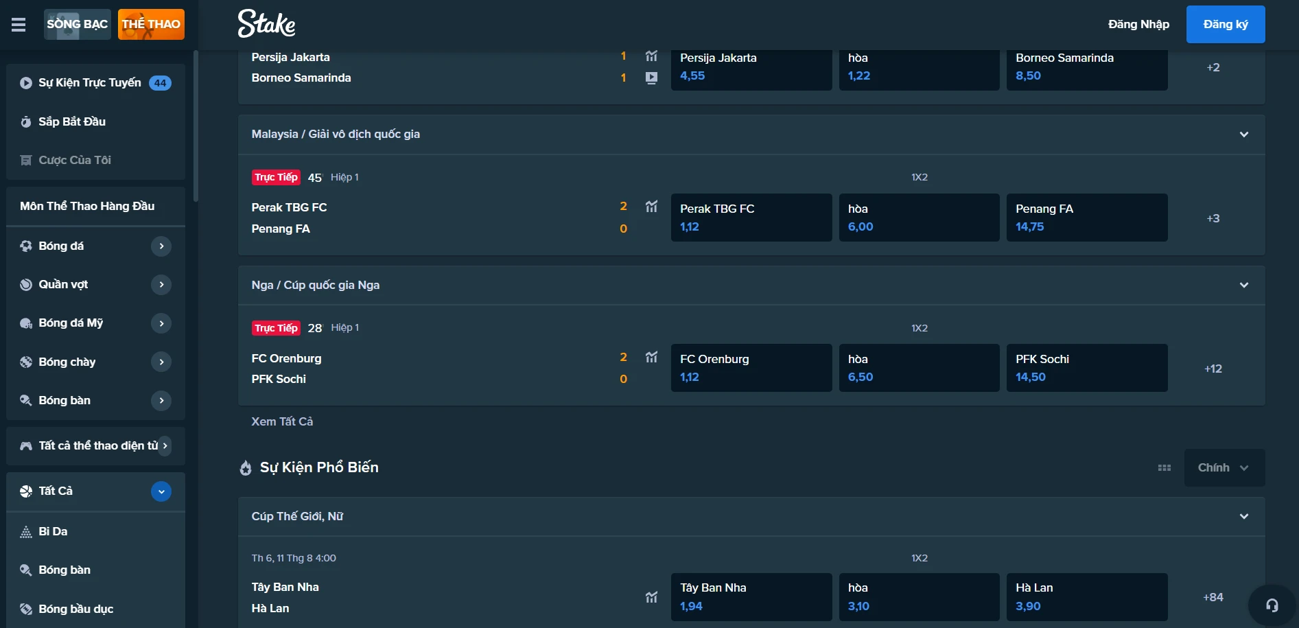 Stake Casino Screenshot