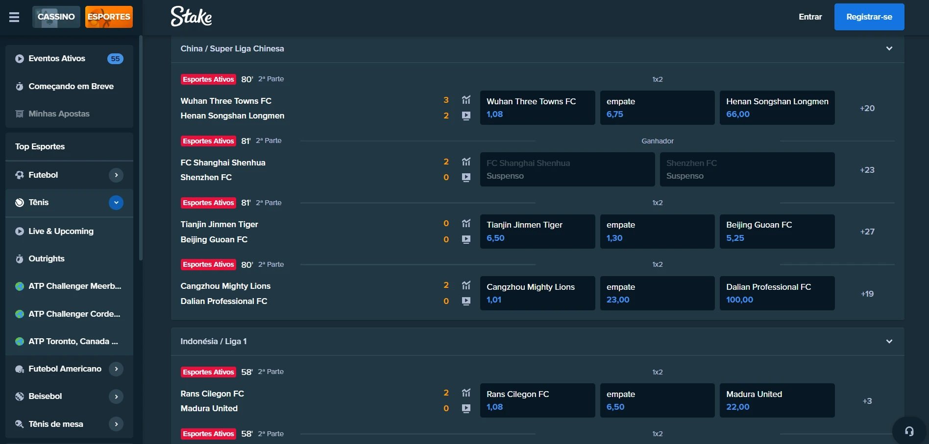 Stake Casino Screenshot