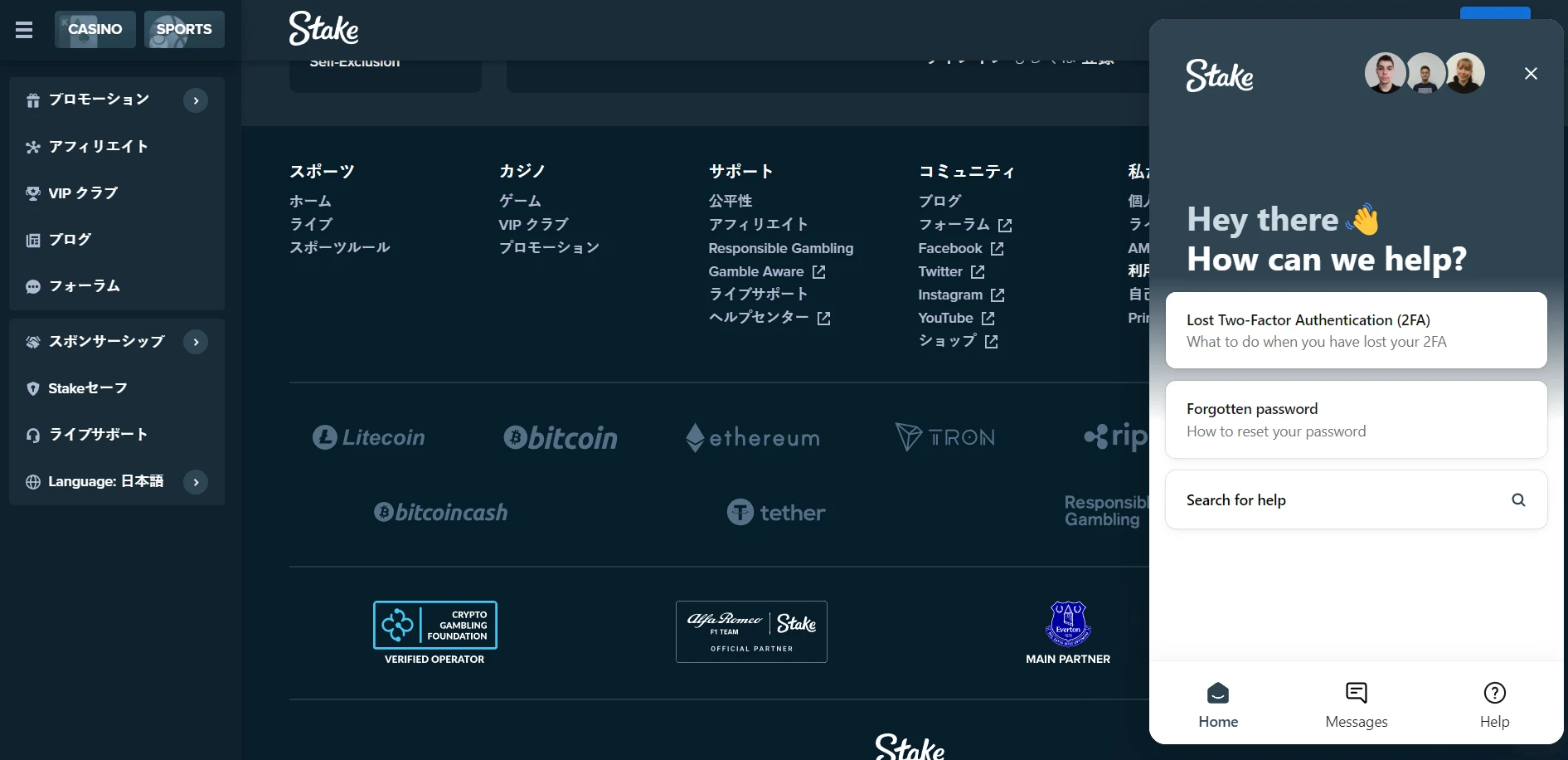 Stake Casino Screenshot