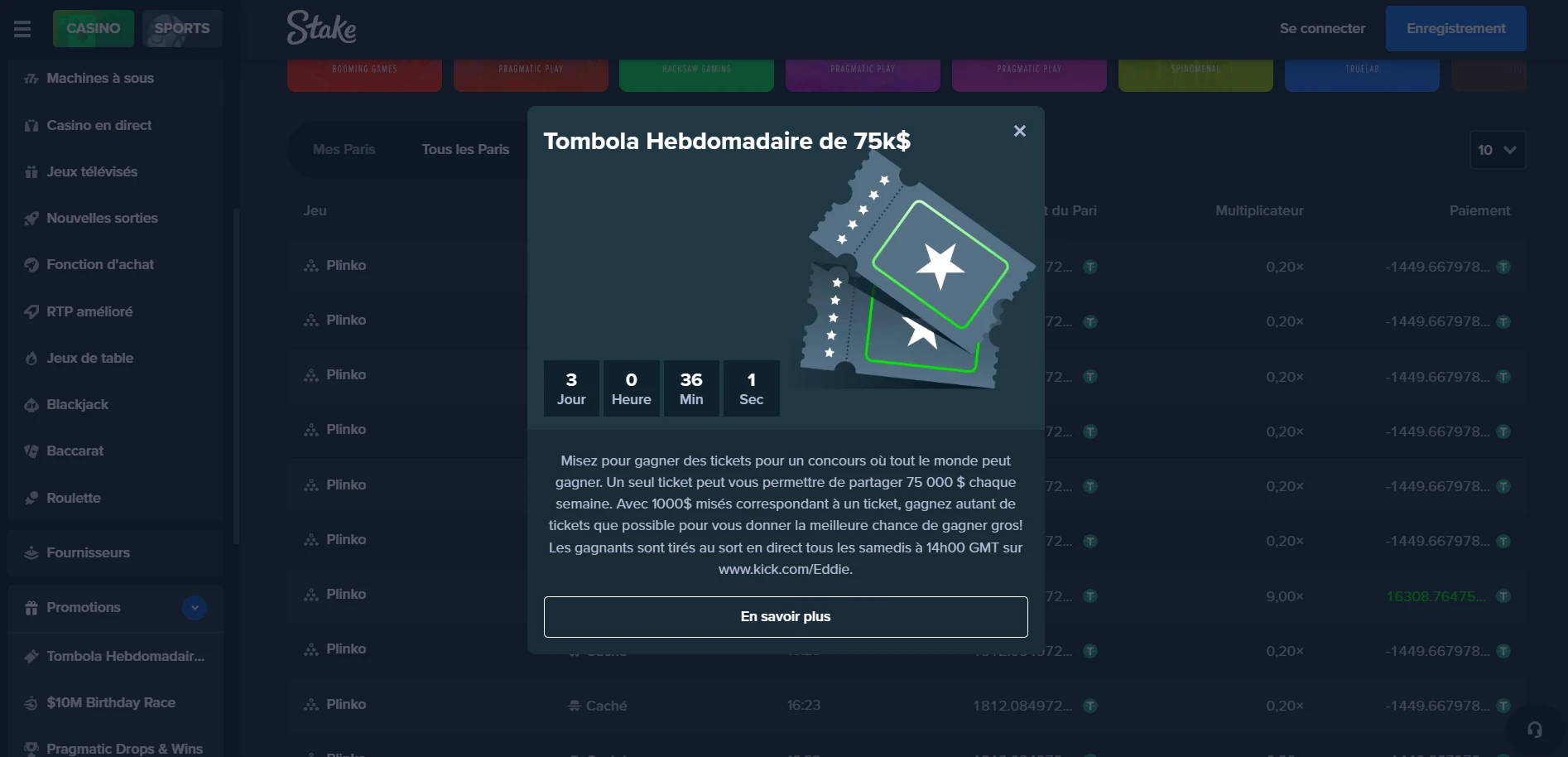 Stake Casino Screenshot