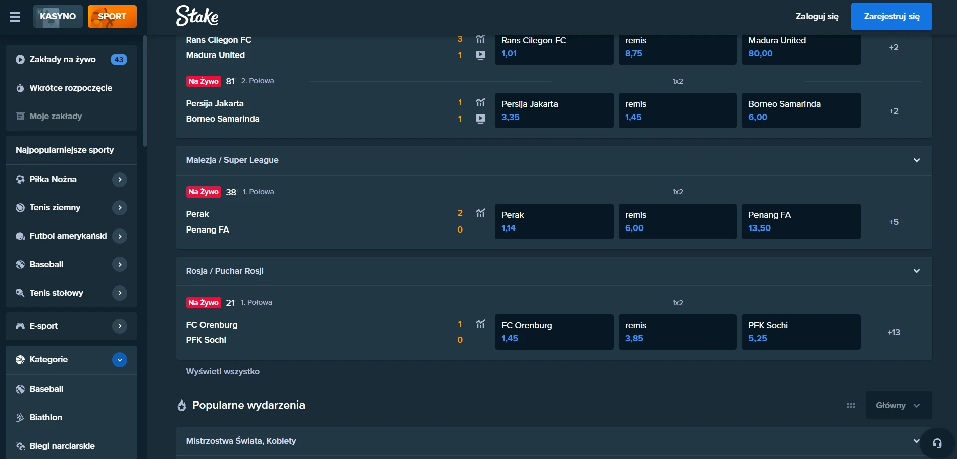 Stake Casino Screenshot