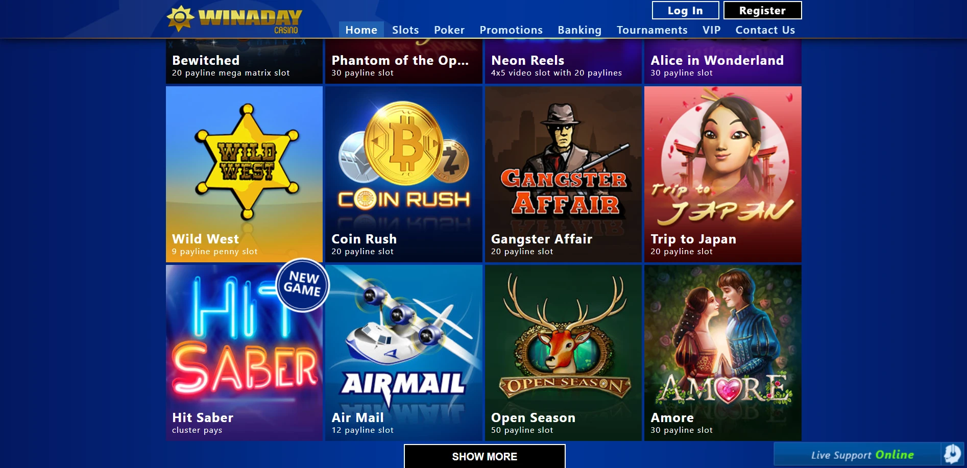 Winaday Casino Screenshot