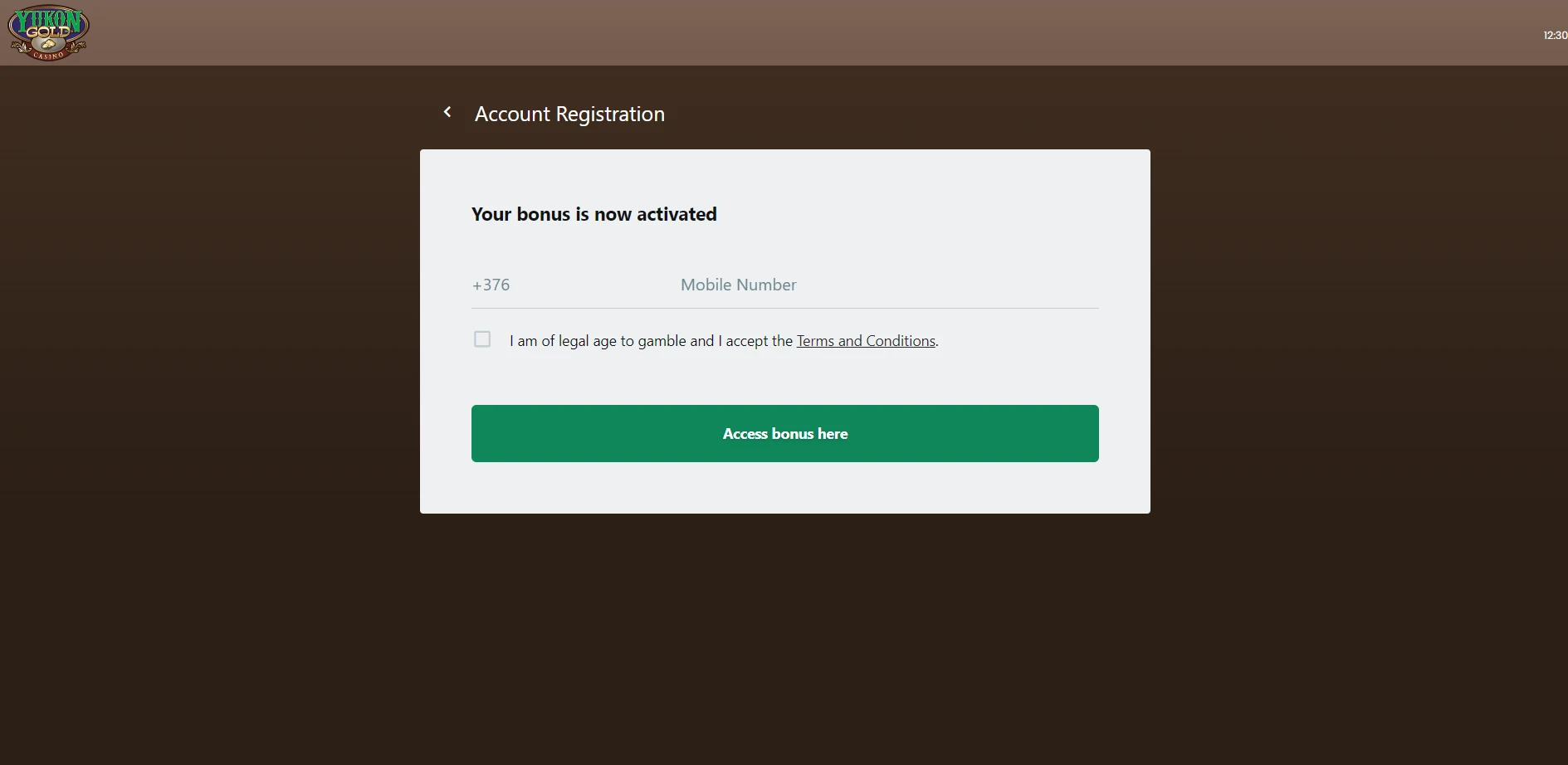 Yukon Gold Casino Screenshot