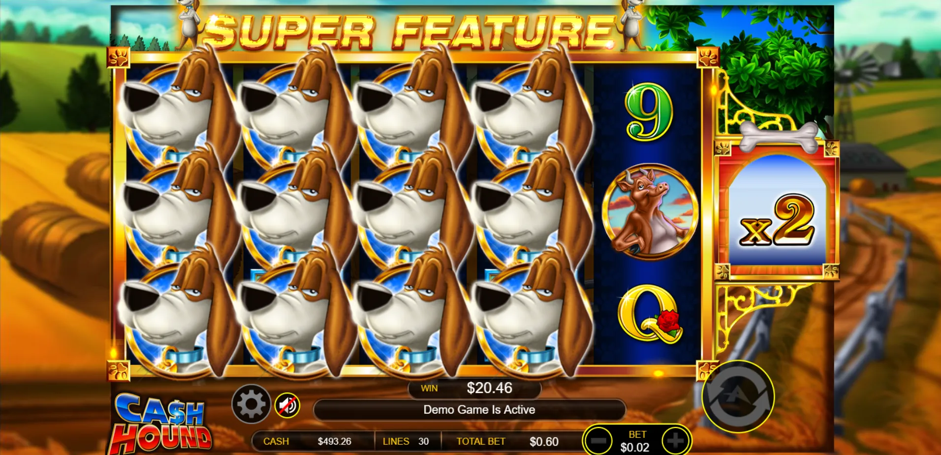 Cash Hound Ainsworth Screenshots
