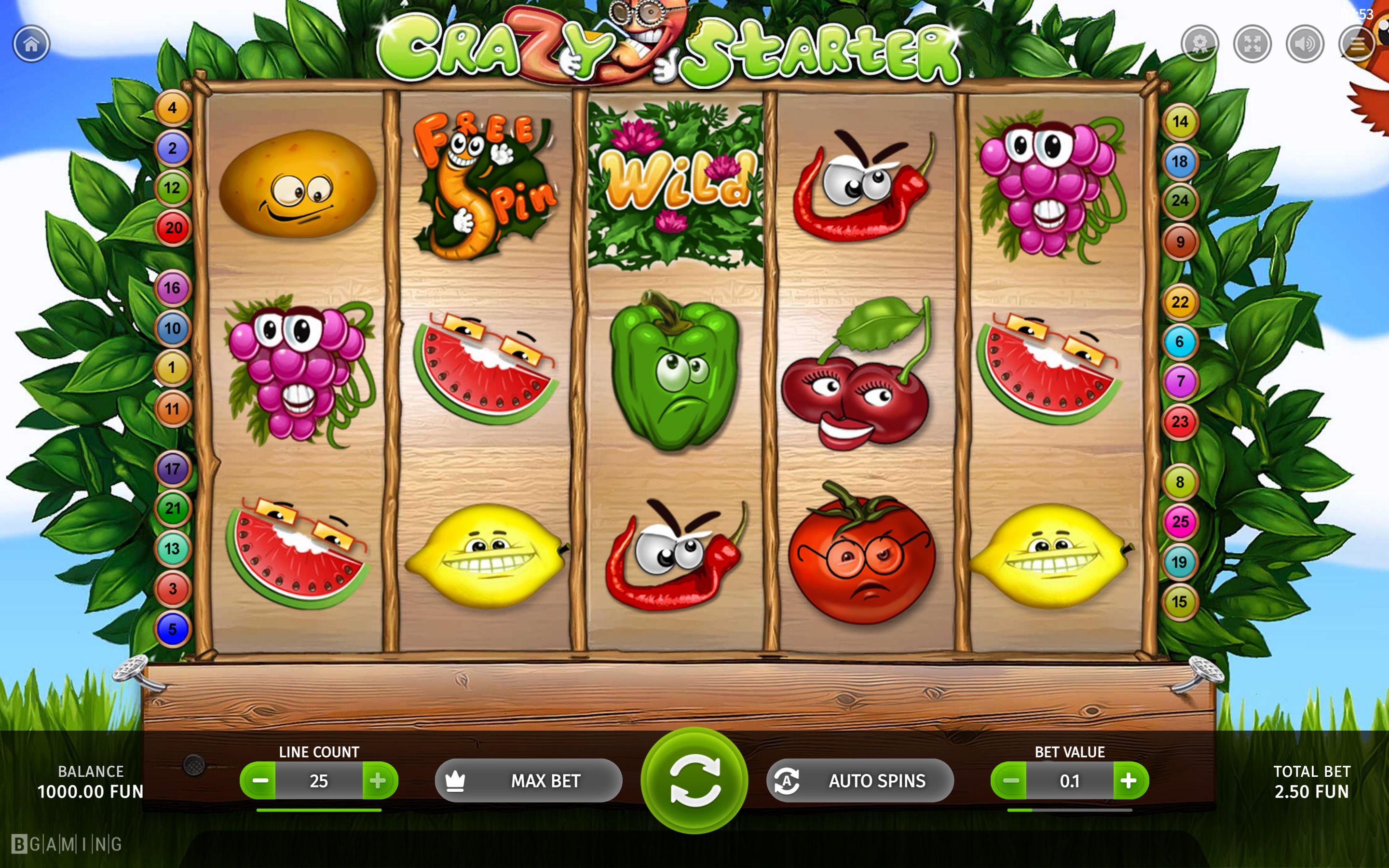 crazy-starter-bgaming