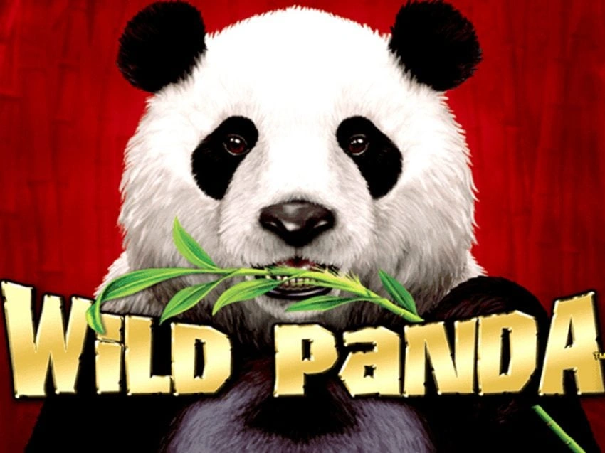 Wild Panda - Aristocrat